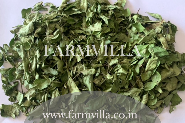 Dehydrated Curry Leaves